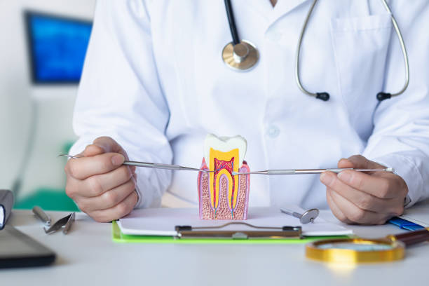 Best Emergency Treatment for Oral Infections in Queen Anne, MD